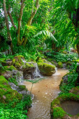 Tayland 'da restoranın avlusunda güzel bir bahçe
