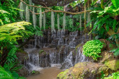 Tayland 'da restoranın avlusunda güzel bir bahçe