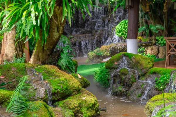 Tayland 'da restoranın avlusunda güzel bir bahçe