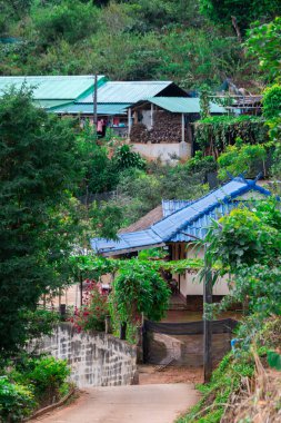 Kuzey Tayland 'daki Pa Tueng dağ köyü, Laos sınırına yakın.