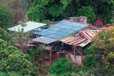 Kuzey Tayland 'daki Pa Tueng dağ köyü, Laos sınırına yakın.
