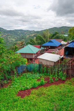Kuzey Tayland 'daki Pa Tueng dağ köyü, Laos sınırına yakın.