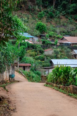 Kuzey Tayland 'daki Pa Tueng dağ köyü, Laos sınırına yakın.