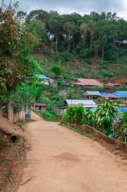 Kuzey Tayland 'daki Pa Tueng dağ köyü, Laos sınırına yakın.