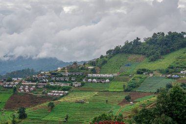 Kuzey Tayland 'daki dağ köyü çevresindeki güzel manzara