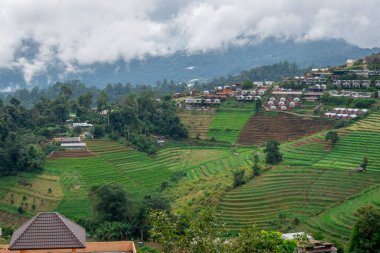Kuzey Tayland 'daki dağ köyü çevresindeki güzel manzara