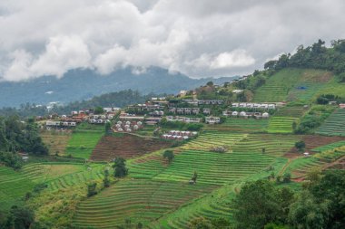 Kuzey Tayland 'daki dağ köyü çevresindeki güzel manzara