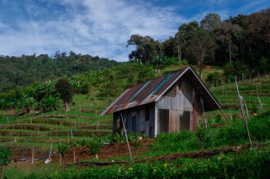 Kırsal Loca yeşil tepelerle çevrili.