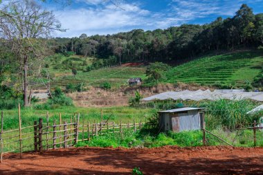 Köy Locası ve tepelerin manzarası