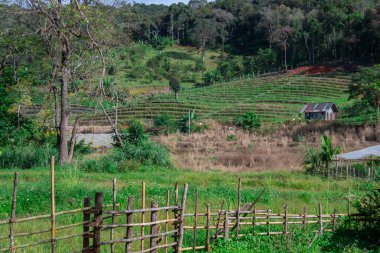 Köy Pansiyonu ve tarlalarının manzarası