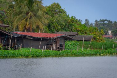 Tayland 'da nehir kıyısı boyunca geleneksel evler
