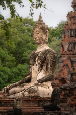 Wat Chai Wattanaram 'daki Buda heykeli harabe.