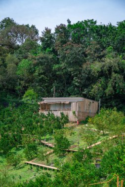 Kuzey Tayland 'da yeşilliklerle çevrili bir ev.