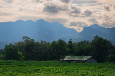 Valle De La Mort 'taki dağlar ve yeşil alanlar