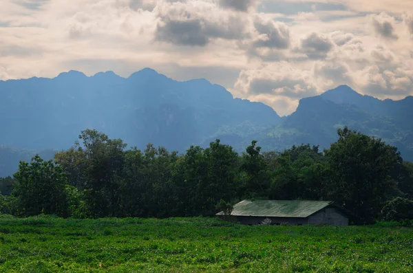 Valle De La Mort 'taki dağlar ve yeşil alanlar