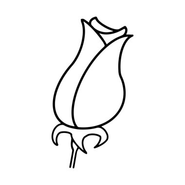 El çizimi çiçek seti, gül koleksiyonu