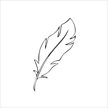 Kuş tüyü El çizilmiş illüstrasyon vektörü