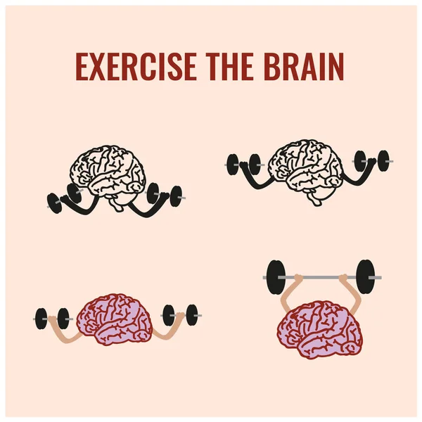 Egzersiz beyninin çizim vektörü