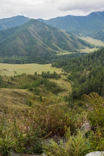 Mountain pass — Stock Photo, Image