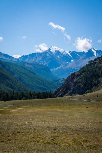 Gorny Altai — Stockfoto