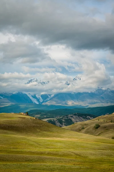 Kurai-Steppe — Stockfoto