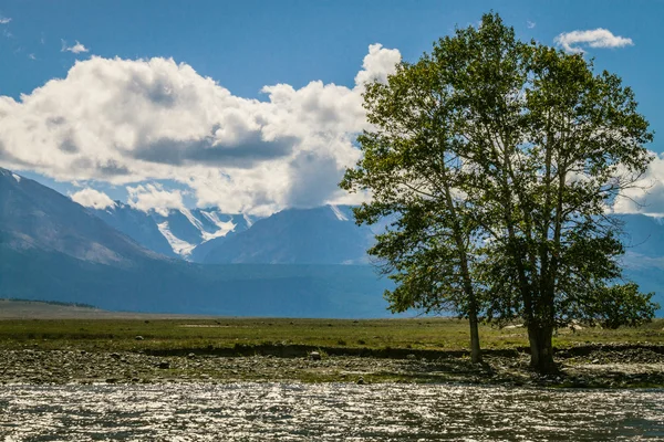 Kurai-Steppe — Stockfoto