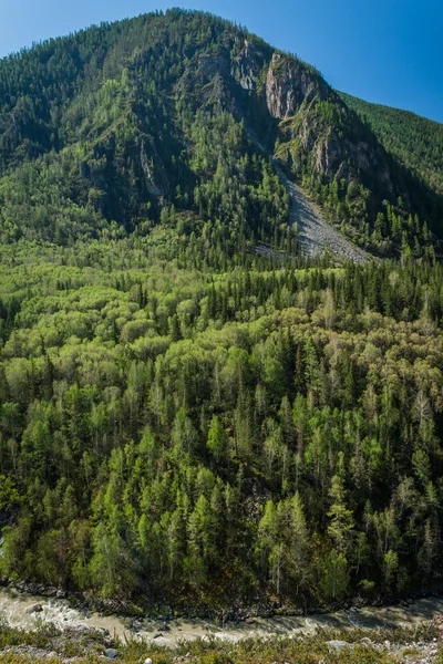 Gorny Altai. — Fotografia de Stock