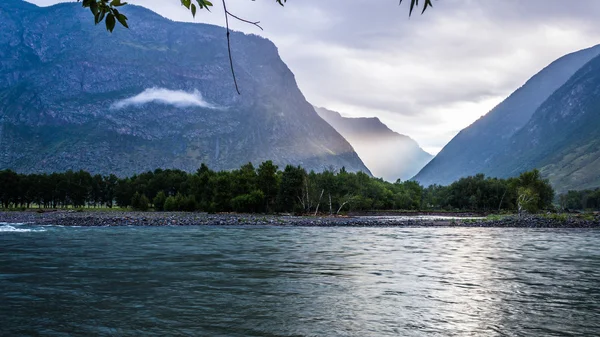 Estuário Chulcha — Fotografia de Stock