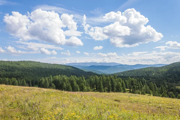 Ulaganski-Gebiet — Stockfoto