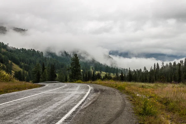 Nebel — Stockfoto