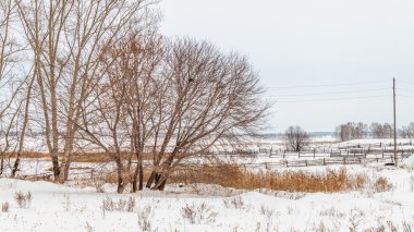 alanlarda ve çitler