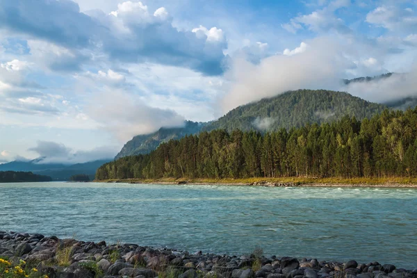 Fiume Katun — Foto Stock