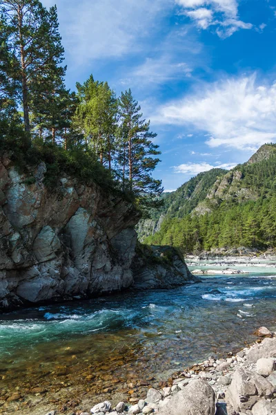 Confluence Katun and Chemal — Stock Photo, Image