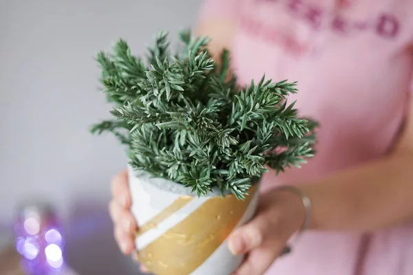 一个穿着粉色T恤的女孩拿出一壶混凝土迷迭香 圣诞家居装饰 — 图库照片