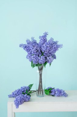 Masanın üzerinde, mavi bir duvarın arkasında duran uzun cam bir vazoda duran leylaklar..