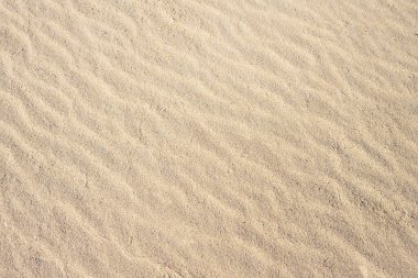 Kum dokusu. Sahilde kum tepeleri olan yaz arkaplanı.