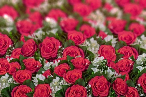 Roses Rouges Alstroemeria Blanche Gypsophila Elegans Bouquets Décoration Festive — Photo