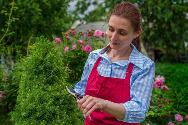 Smiling Lady Young Woman Pruning Bush Sunny Day Spring Summer — Stock Photo, Image