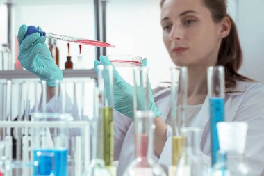 Petri kabını tutan laboratuvar asistanı, pipet sıvısı. Ellere odaklan..