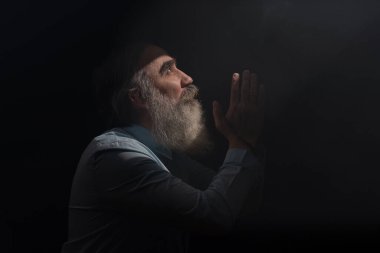 Japon ayva balığının çiçek açan dalları ya da ilkbaharda Maule 'nin ayva çiçekleri. Cilt yüzeyi çiçeklerle dolu. Parlak mavi gökyüzü.