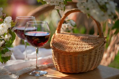 Baharda bahçede şarap tatma partisi. Güzel bir ilkbahar gününde, tahta bir masada, uzun, saplı bardaklarla, kırmızı şarapla dolu bir hayat. Kiraz çiçekleriyle çiçek açan dallar. Seçili odak