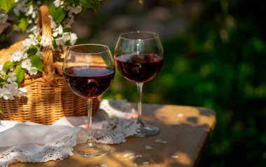 Baharda bahçede şarap tatma partisi. Güzel bir ilkbahar gününde, tahta bir masada, uzun, saplı bardaklarla, kırmızı şarapla dolu bir hayat. Kiraz çiçekleriyle çiçek açan dallar. Seçili odak, kopyalama alanı