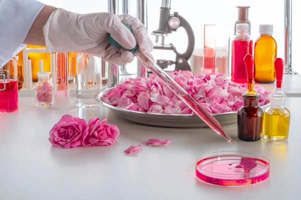 Mănușă Mână Țevi Într Fel Mâncare Petri Laborator Parfumuri Actualizate — Fotografie, imagine de stoc