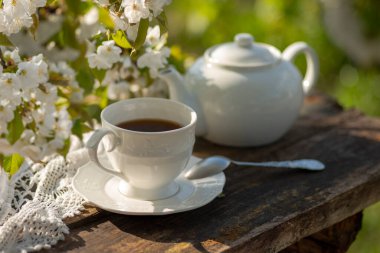 Çay seti, kiraz çiçeği dalları, ahşap masa. Açık hava kahvaltısı, piknik, brunch, bahar havası. Yumuşak odak