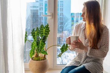 Smiling woman with long brown hair in casual shirt and jeans sits on the windowsill and drinks tea or coffee in the morning. Natural sunlight, a silhouette of a city building, houseplant in flowerpot clipart