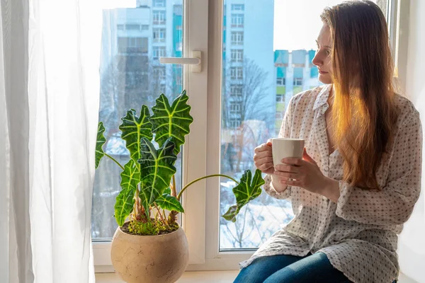 Smiling woman with long brown hair in casual shirt and jeans sits on the windowsill and drinks tea or coffee in the morning. Natural sunlight, a silhouette of a city building, houseplant in flowerpot