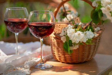 Baharda bahçede şarap tatma partisi. Güzel bir ilkbahar gününde, tahta bir masada, uzun, saplı bardaklarla, kırmızı şarapla dolu bir hayat. Kiraz çiçekleriyle çiçek açan dallar. Seçili odak