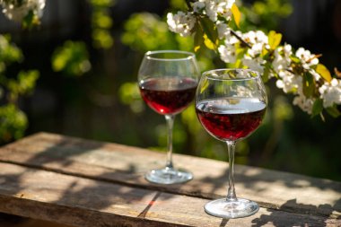 Güzel bir bahar gününde, tahta bir açık havada, uzun, kırmızı şarap kadehleriyle dolu bir hayat. Kiraz çiçekleriyle çiçek açan dallar. Seçili odak, kopyalama alanı