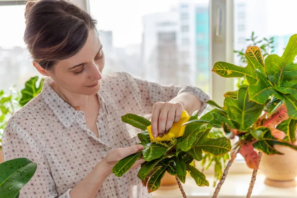 Tender Woman Taking Care Tropical Indoor Potted Fresh Plants Sunlight — Stock Photo, Image