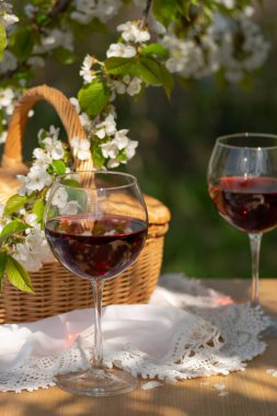 Baharda bahçede şarap tatma partisi. Güzel bir ilkbahar gününde, tahta bir masada, uzun, saplı bardaklarla, kırmızı şarapla dolu bir hayat. Kiraz çiçekleriyle çiçek açan dallar. Seçili odak, kopyalama alanı